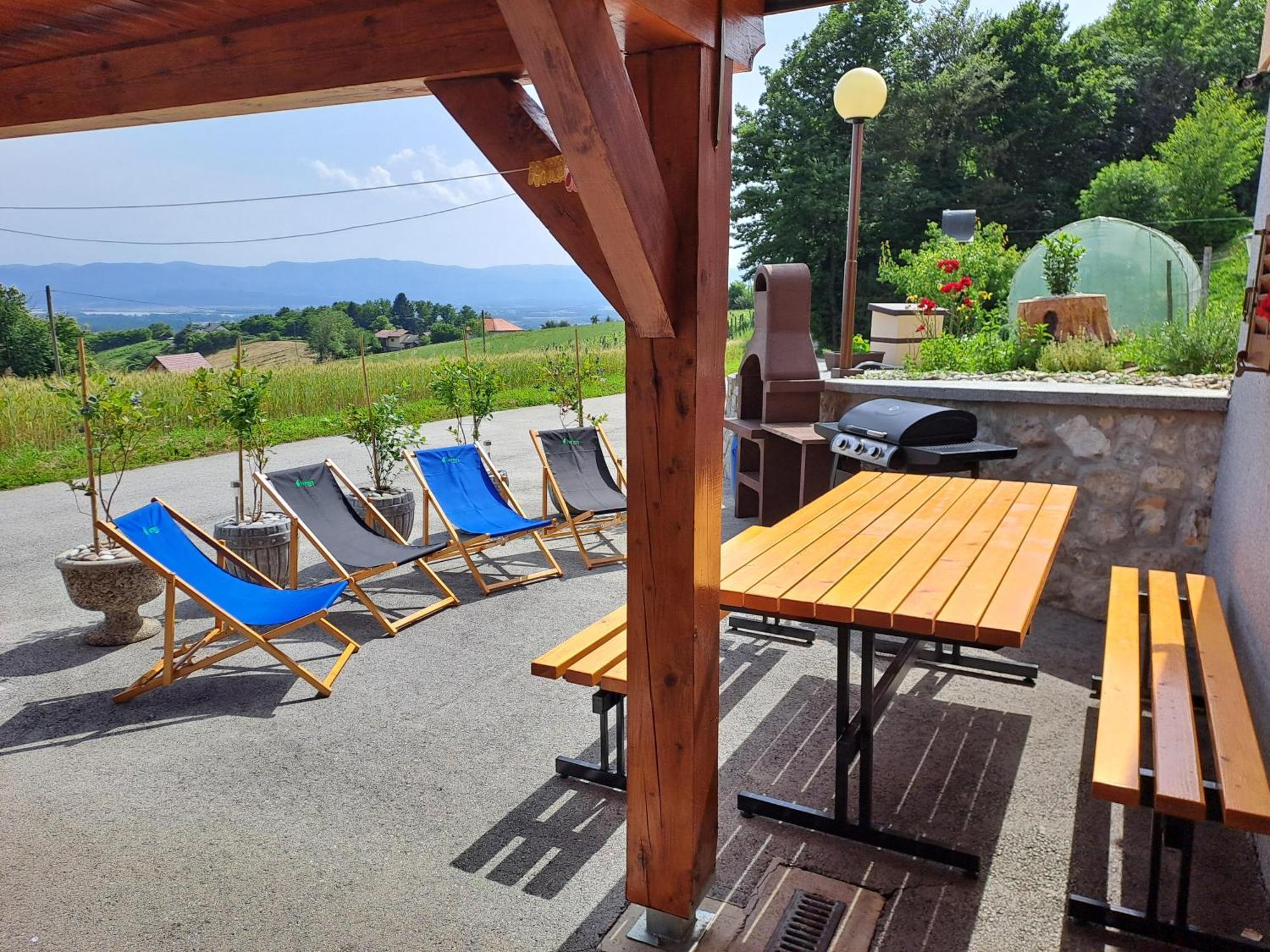 Apartments Jernej With Onsite Wellness Brezice Exterior photo
